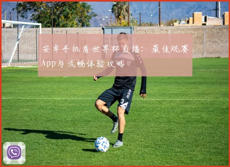 安卓手机看世界杯直播：最佳观赛App与流畅体验攻略