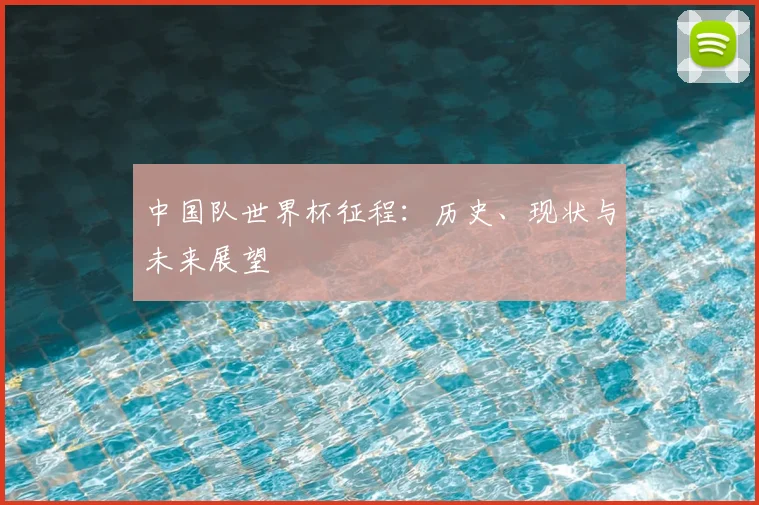 中国队世界杯征程：历史、现状与未来展望